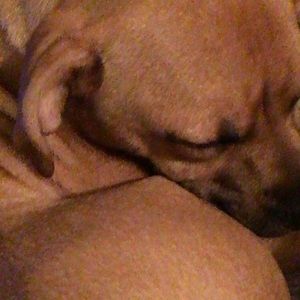 Meet your Posher, Amber